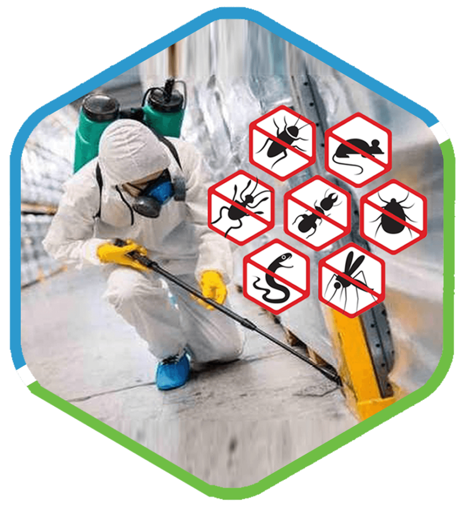 Pest control services in British Columbia