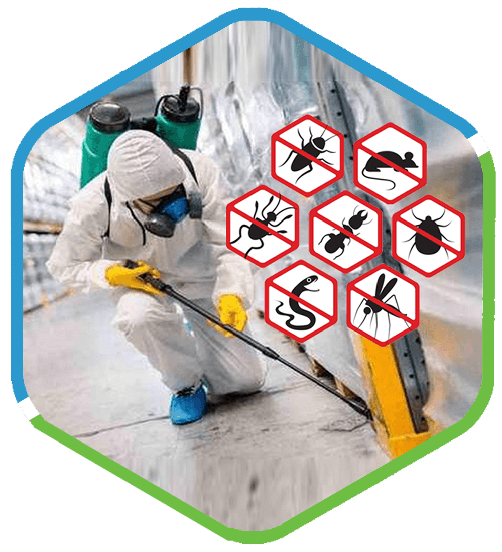 Pest control services in British Columbia