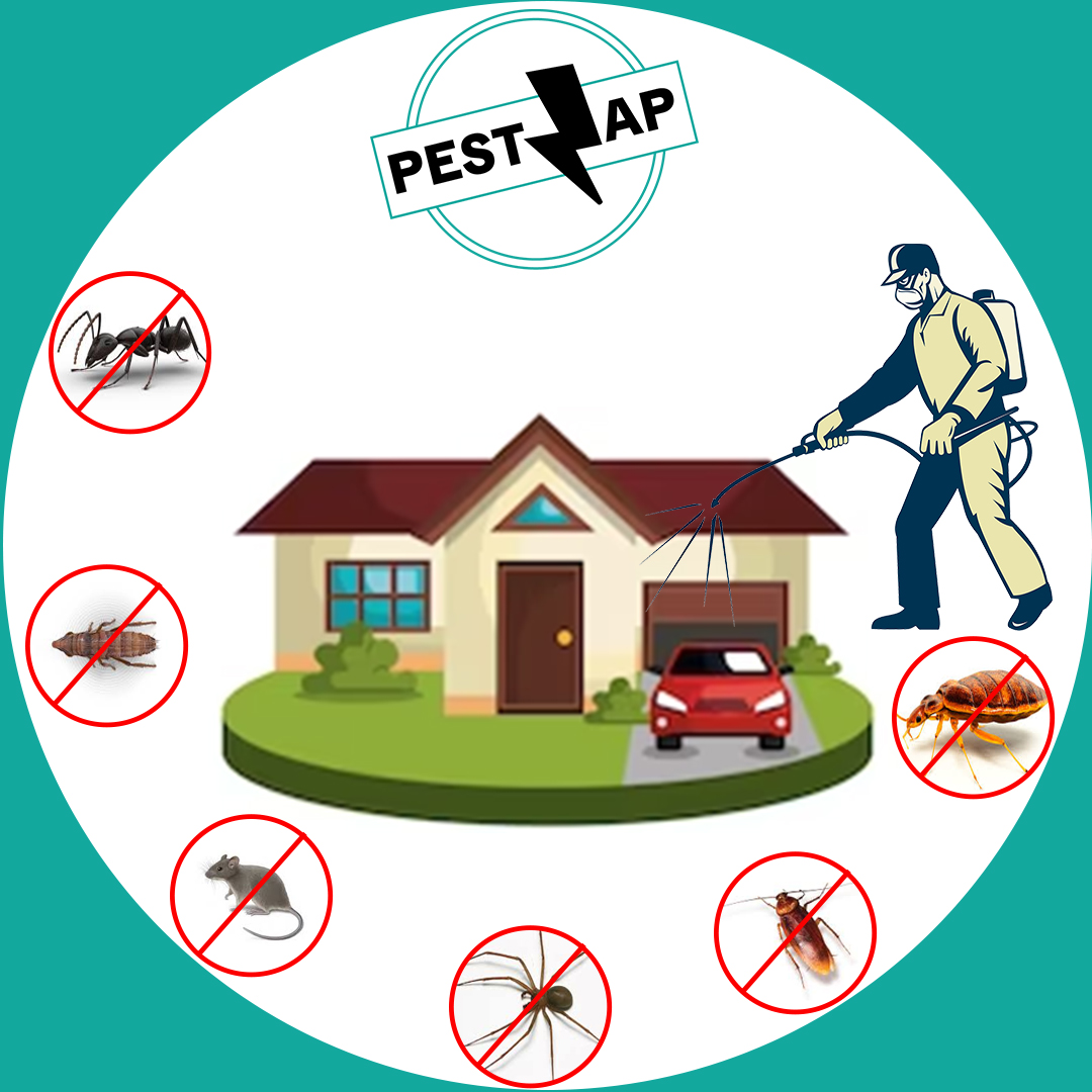 Wasp Control Services BC​