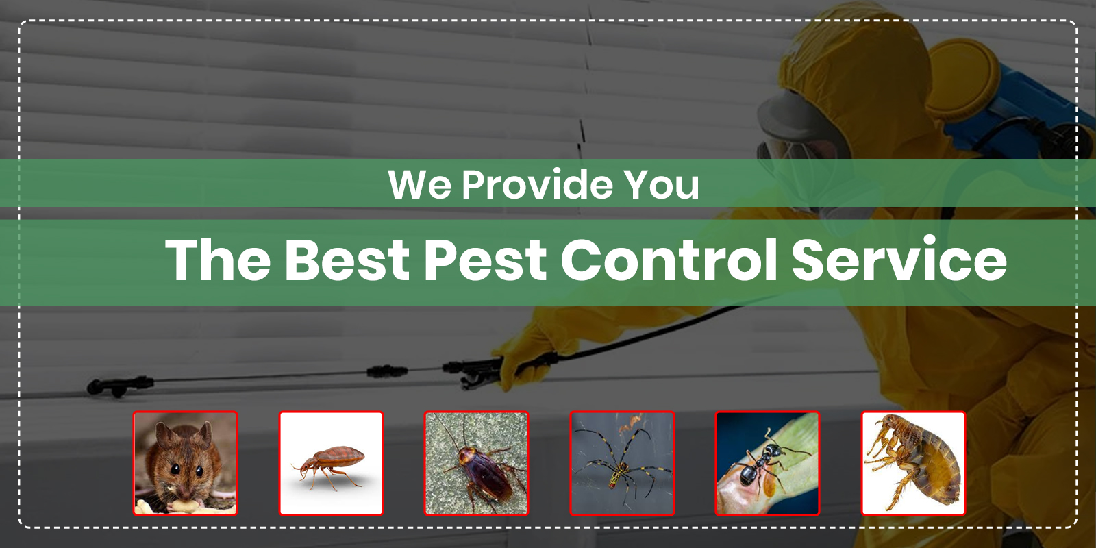 pest control services in British Columbia
