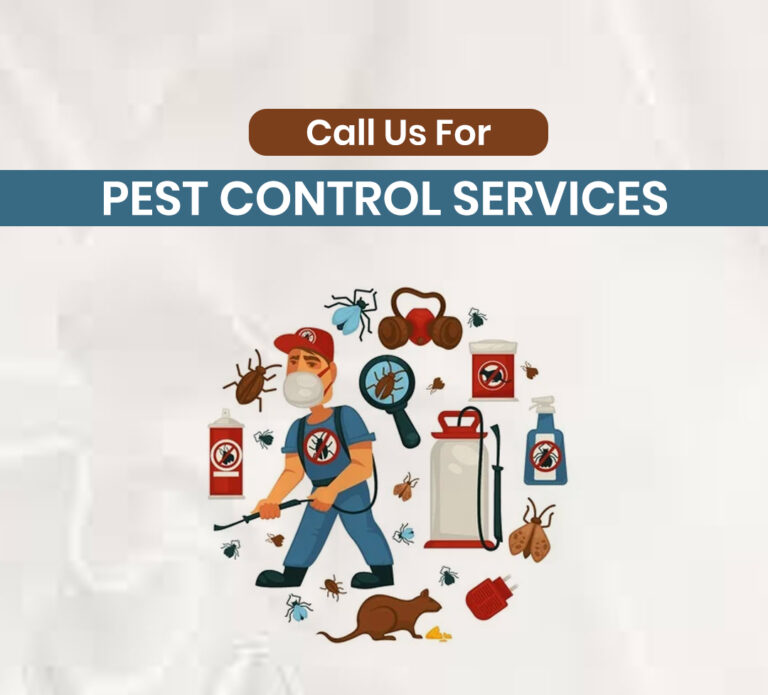 Ant Control Services in Surrey BC