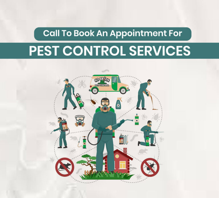 Ant Control Services in Surrey BC