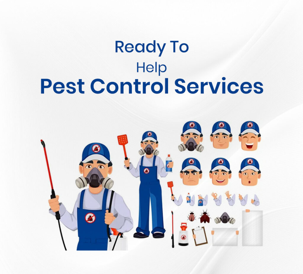 Termite Control Pest Zap