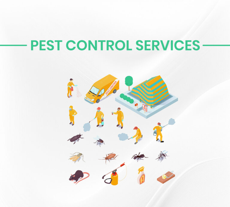 Wasp Control Services BC​