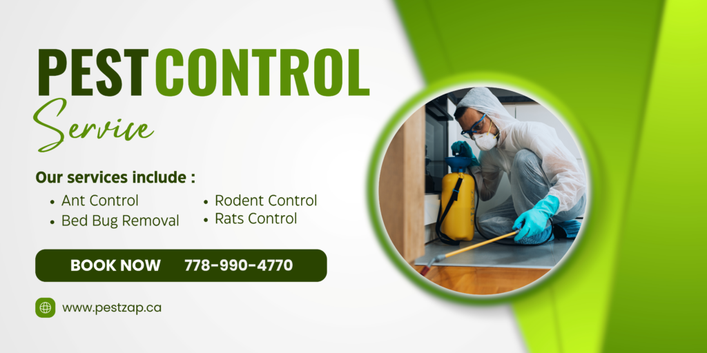 Pest control services in surrey bc canada