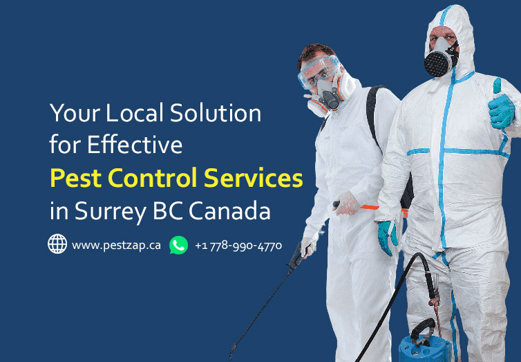 Your Local Solution for Effective Pest Control Services in Surrey BC Canada