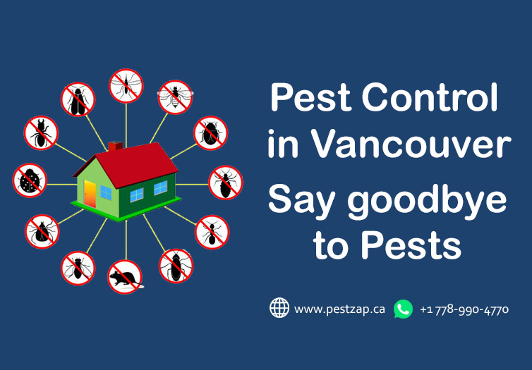 Pest control in Vancouver – Say goodbye to Pests with pestzap