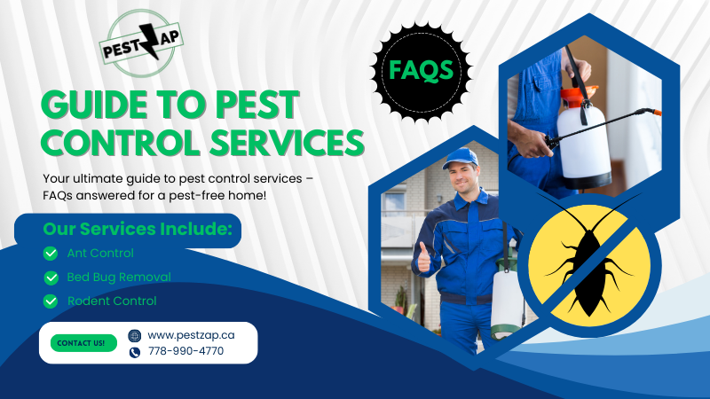 Guide-to-Pest-Control-Services