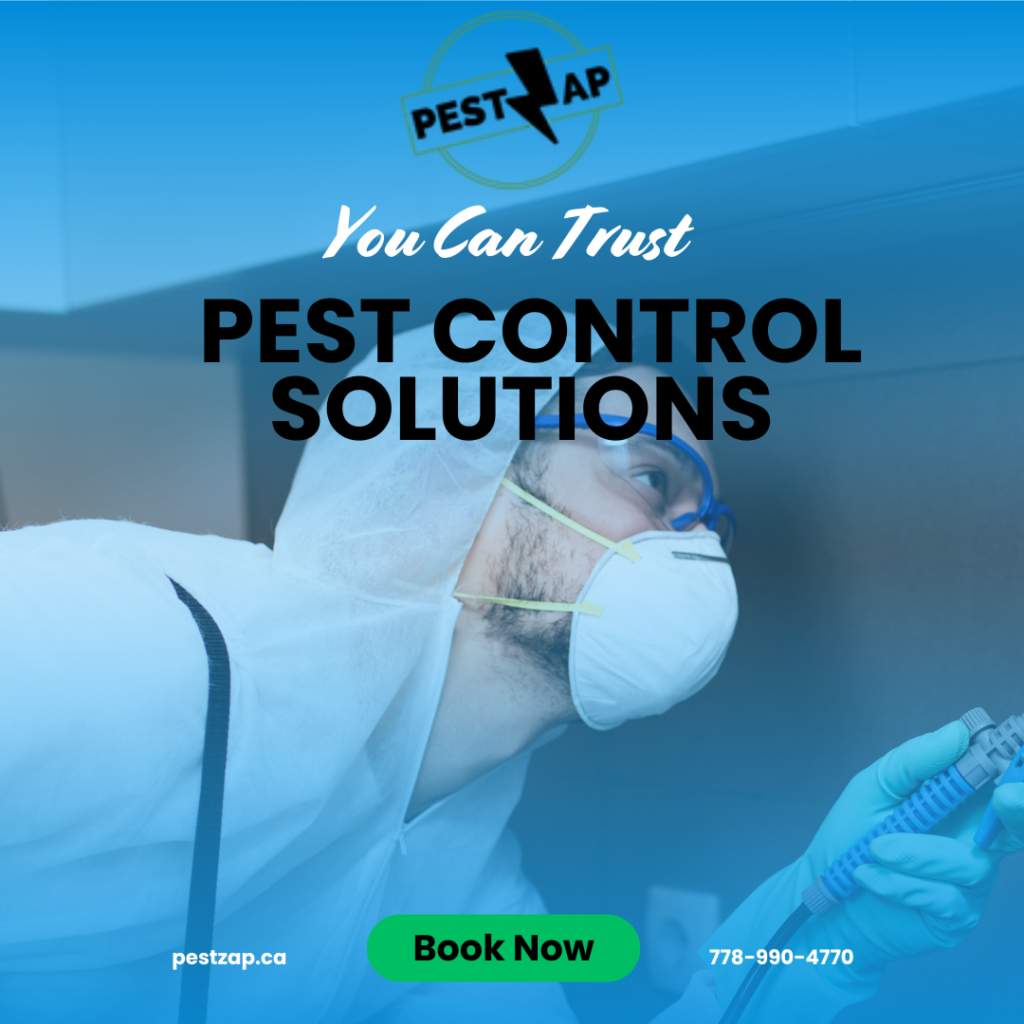 Pest-Control-Solution-BC-Canada 