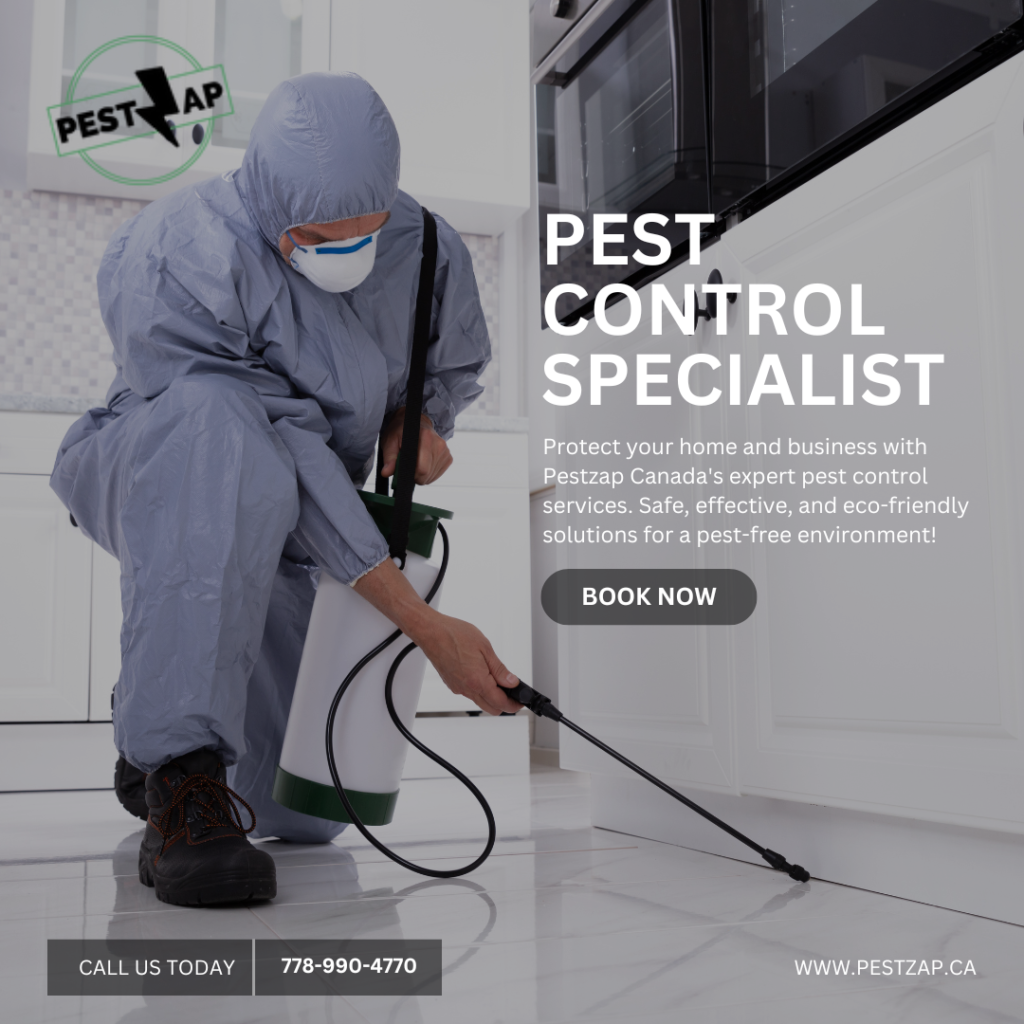 Pest-Control-Services-BC-Canada 